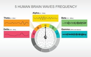Read more about the article Alpha, beta, theta: what are brain states and brain waves? And can we control them?
