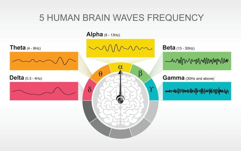 Alpha, beta, theta: what are brain states and brain waves? And can we control them?