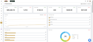 Read more about the article 13 Important WooCommerce Metrics and KPIs