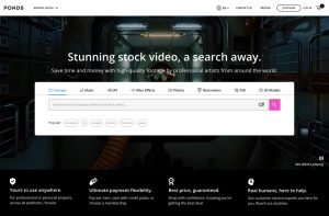 Read more about the article Best Stock Video Websites for WordPress Sites