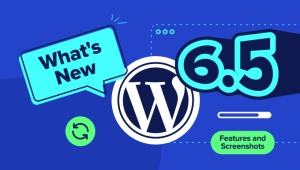 Read more about the article What’s New in WordPress 6.5 (Features and Screenshots)