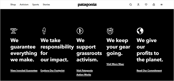 Patagonia's actions on sustainability