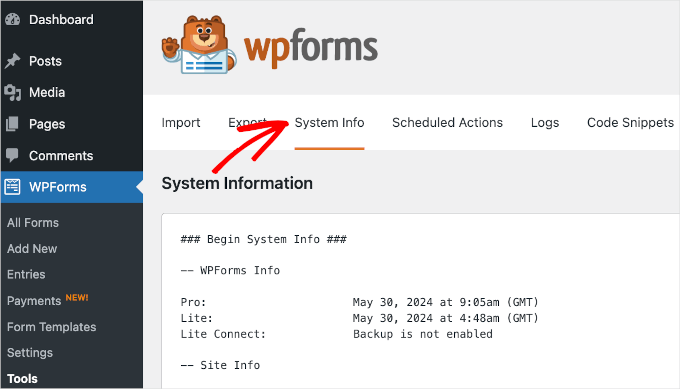 The System Info tab in WPForms