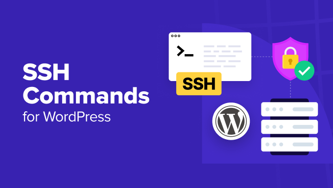 16 SSH Commands that Every WordPress User Should Know