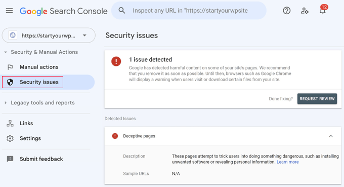 Google Search Console Security Issues