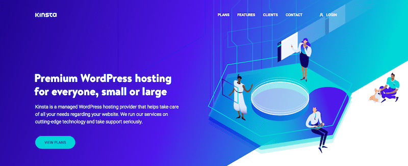 The Kinsta website.