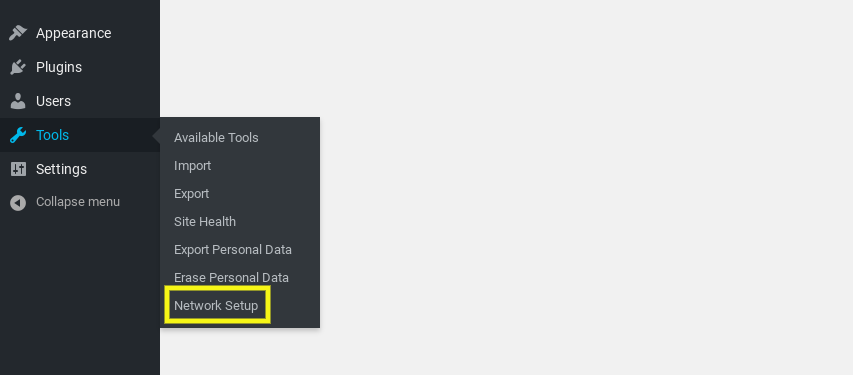 The WordPress Multisite Network Setup menu item.