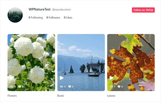 An example of a TikTok feed, embedded on a WordPress website
