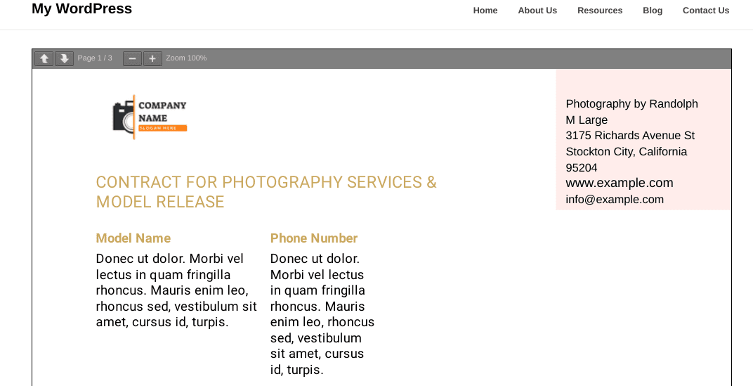 A preview of an embedded PDF on the frontend of a WordPress site.