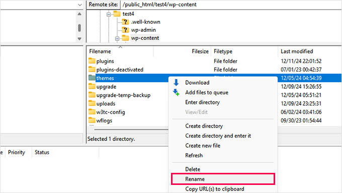 Rename theme folder