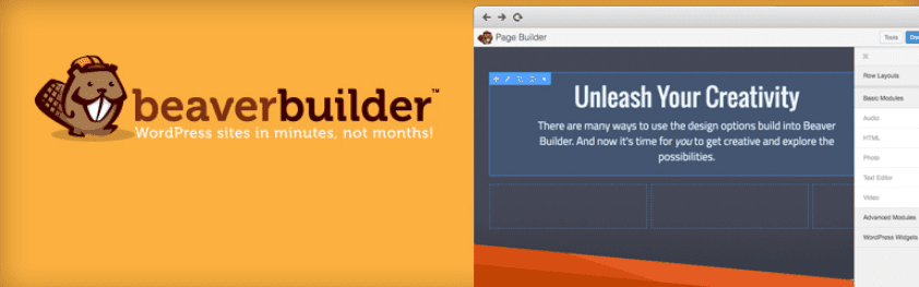 The Beaver Builder WordPress Plugin.