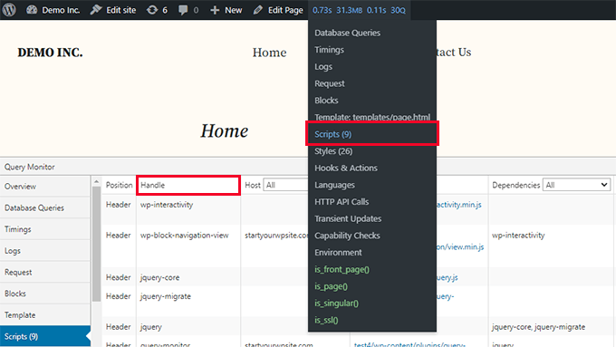 Finding scripts and stylesheets using Query Monitor plugin