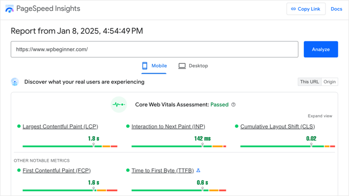 Accessing Lighthouse Using Google PageSpeed Insights