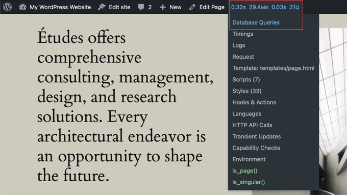 Choose 'Database Queries' From the Query Monitor Menu