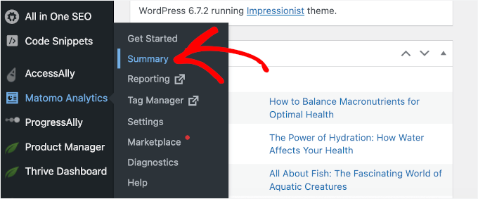Accessing Matomo Analytics Summary from the WordPress dashboard