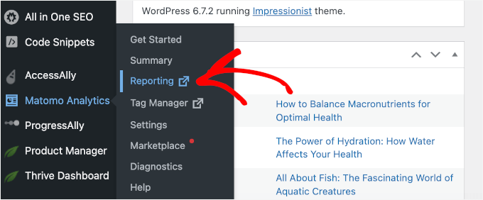 Accessing Matomo Analytics Reports from the WordPress dashboard