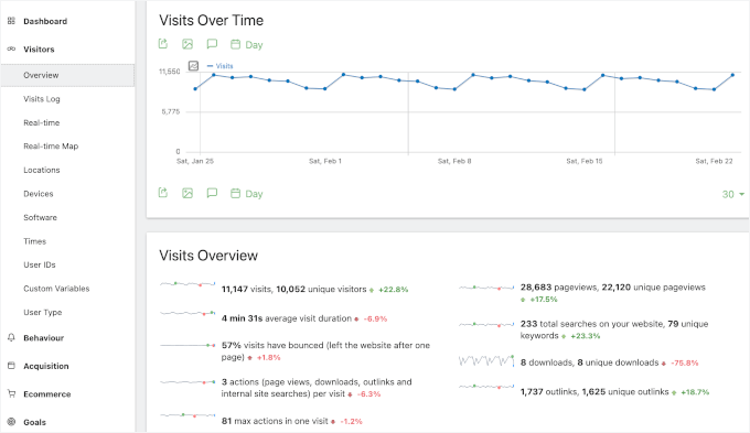 Matomo's Visitors reporting page