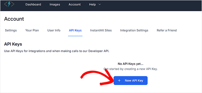 Click ' + New API Key' button