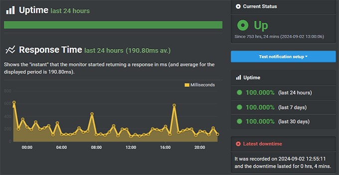 Hostinger Uptime Test