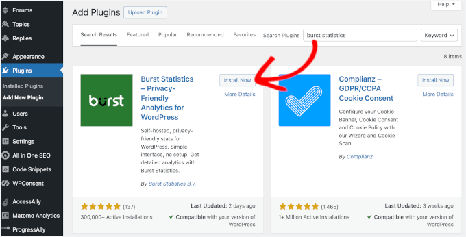 Burst Statistics Install Now button Burst Statistics Install Now button