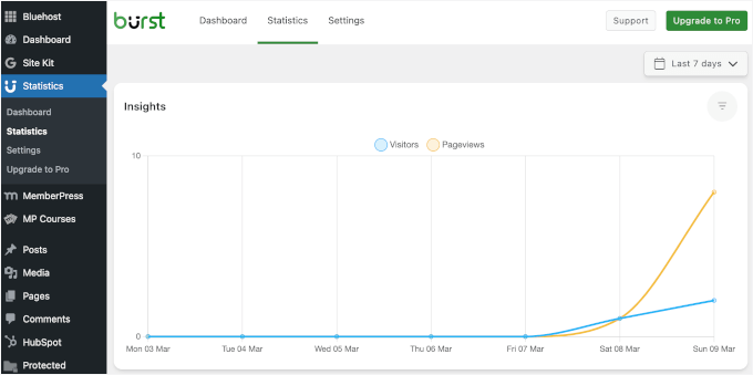 Insights in Burst Statistics Insights in Burst Statistics