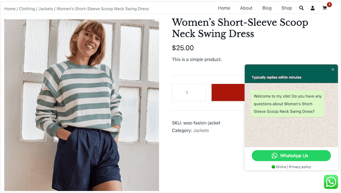 An example of a WhatsApp chat window on a WooCommerce store An example of a WhatsApp chat window on a WooCommerce store