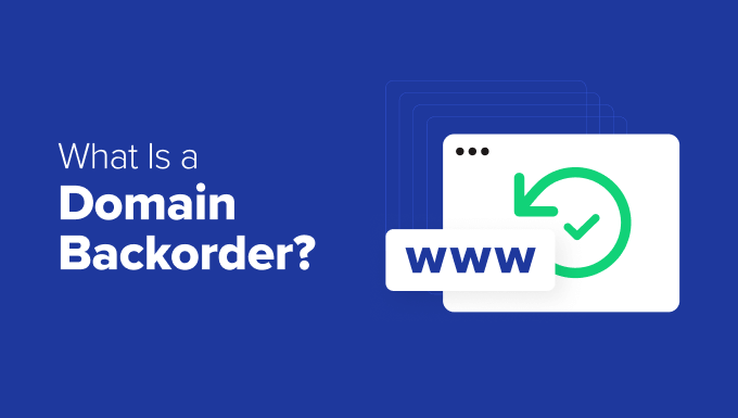 What Is a Domain Backorder and How to Properly Place It What Is a Domain Backorder and How to Properly Place It