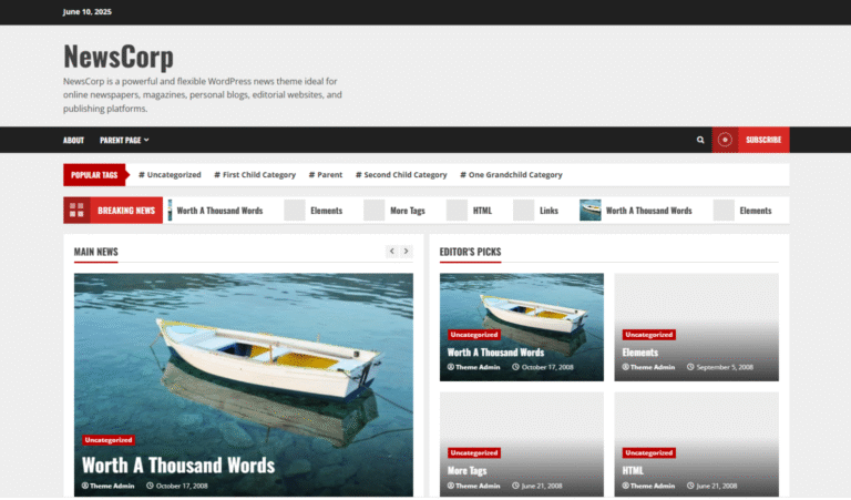 Beginner’s Guide to WordPress Website Types