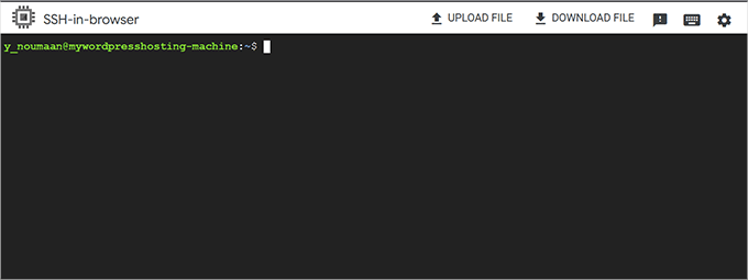 SSH in browser