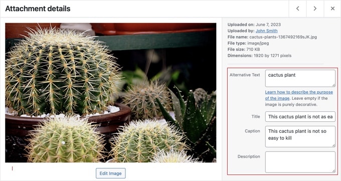 Add alt tag and title via media library Add alt tag and title via media library