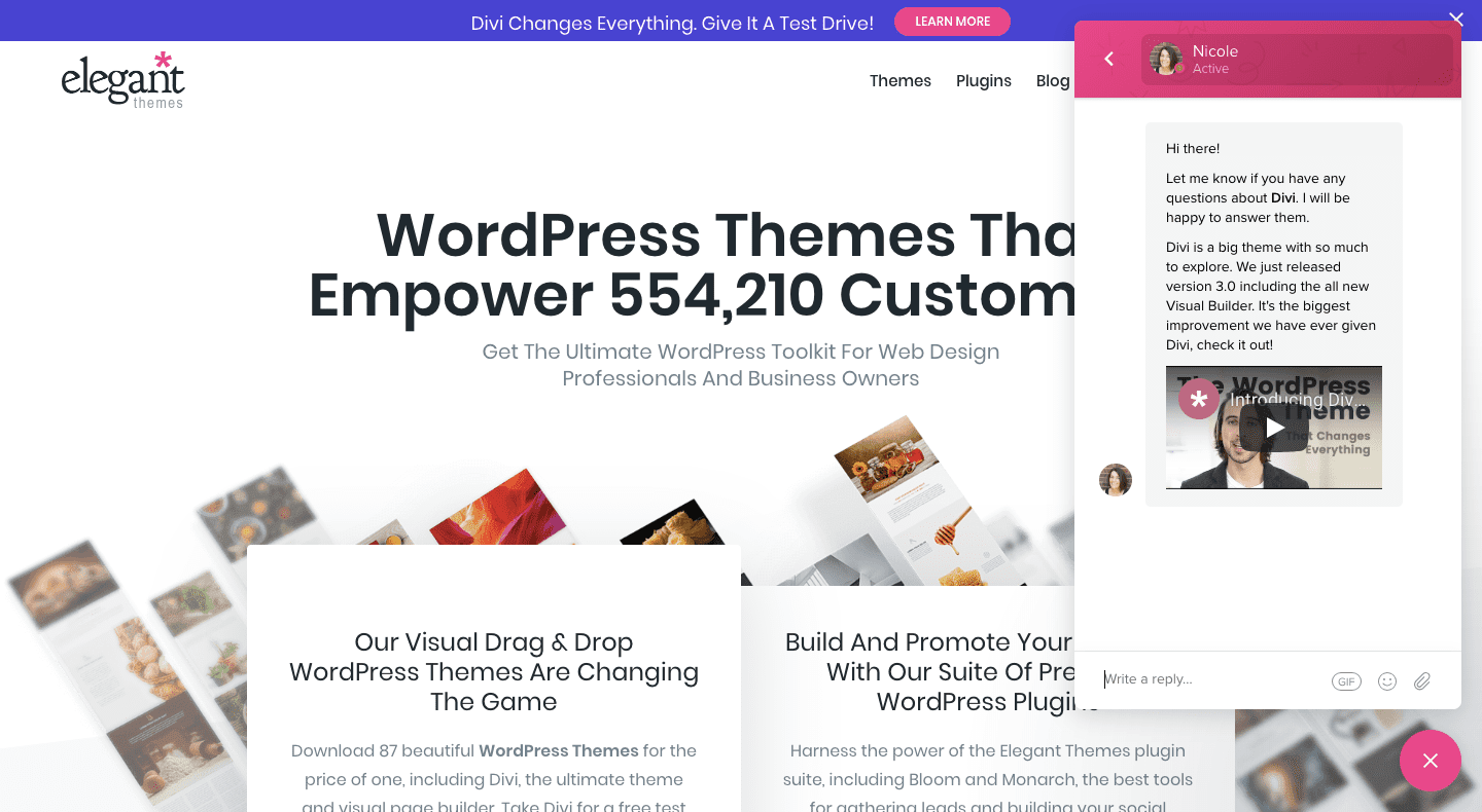 Elegant Themes Chat Window