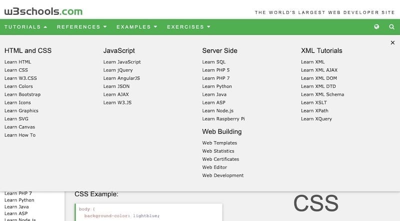 WordPress developers 