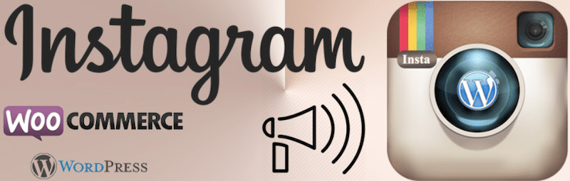 WP Instagram Post Plugin