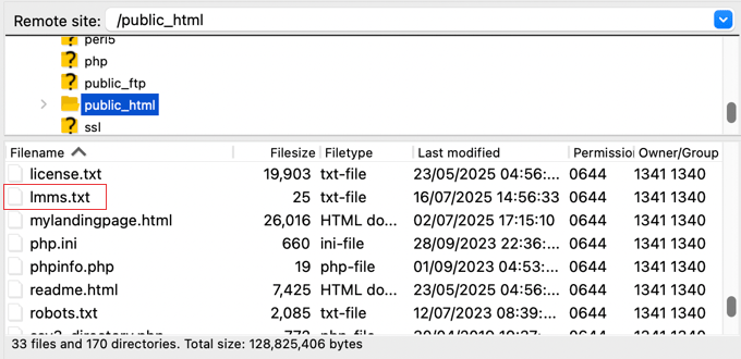 Uploading LMMs.txt Using FTP Uploading LMMs.txt Using FTP