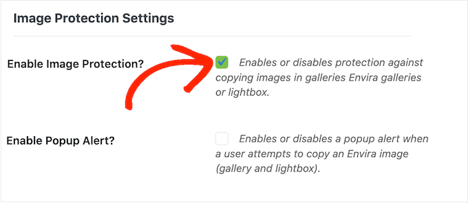Enabling image protection for your image galleries Enabling image protection for your image galleries