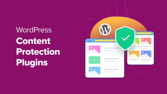 Best WordPress Content Protection Plugins Best WordPress Content Protection Plugins