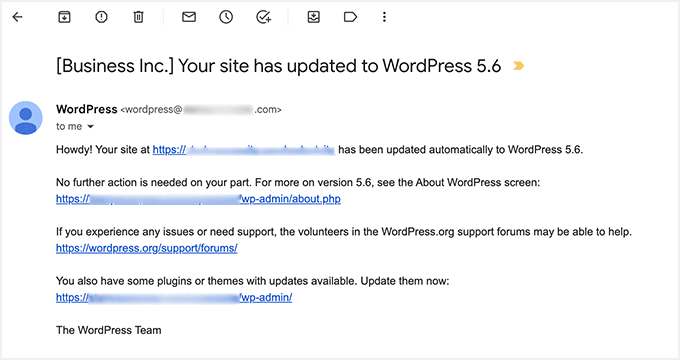 Email notification preview after an auto-update Email notification preview after an auto-update