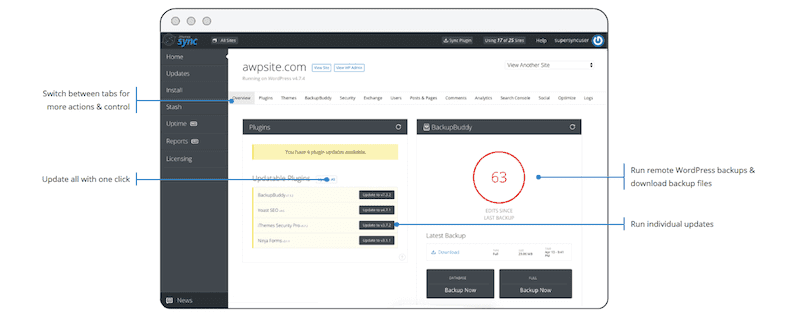 iThemes Sync
