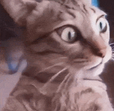Bounce Rate in Google Analytics: Reduce It by 25% With These 11 Strategies