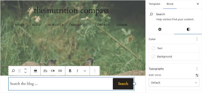 Customizing the Search block Customizing the Search block