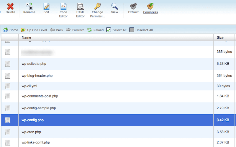 edit wp-config