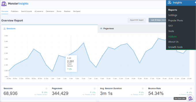 MonsterInsights reports MonsterInsights reports