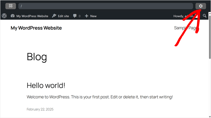 Opening WordPress Playground settings