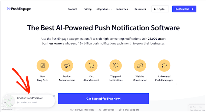 A real-time social proof notification, created using TrustPulse