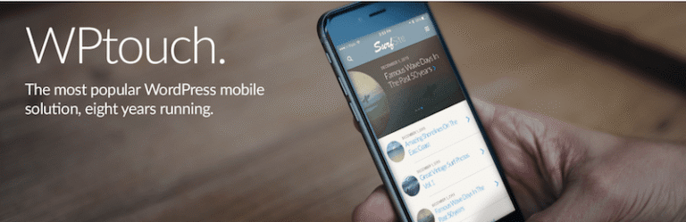 The 10 Best Mobile WordPress Plugins For a 100% Responsive Theme