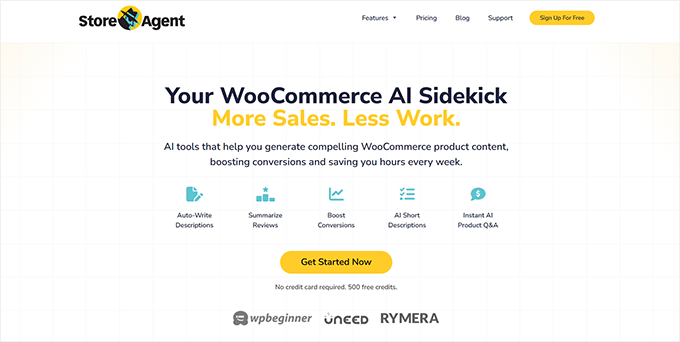 StoreAgent website StoreAgent website