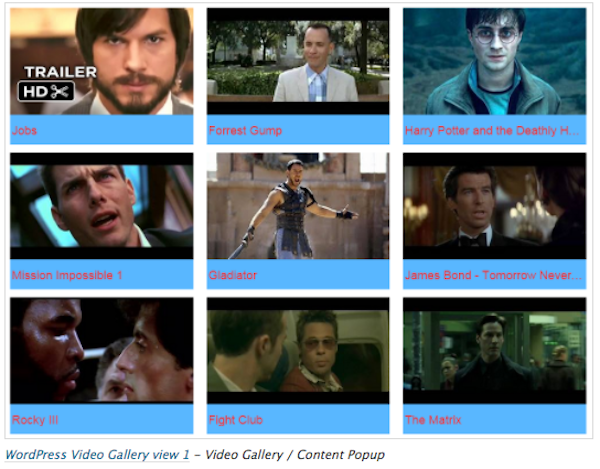 video gallery1