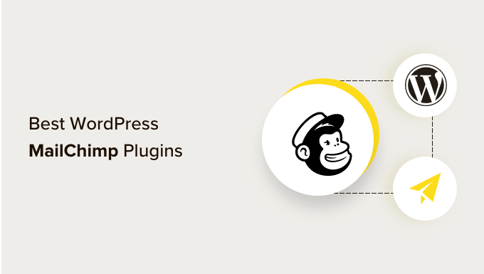 best mailchimp wordpress plugins Best WordPress Mailchimp plugins