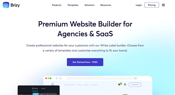Brizy website Brizy website