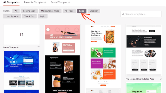 SeedProd's ready-made templates SeedProd's ready-made templates